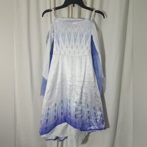 Frozen 2 Elsa costume